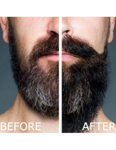 Champú y Acondicionador para Barba Arlo 2 en 1 Sándalo 340 ml