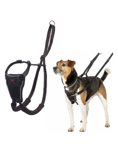 Arnés Halti Sin Tirones - Ajustable y Reflectante S