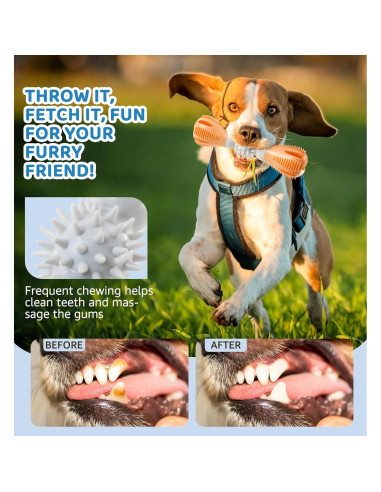 Juguete Masticable Interactivo HiRui para Perros Pequeños y Medianos