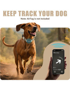 Collar para Perro Zowpet M - Cuero Impermeable con Soporte AirTag 2