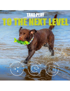 Juguete Interactivo para Perros Zimoric - Masticadores Agresivos 2