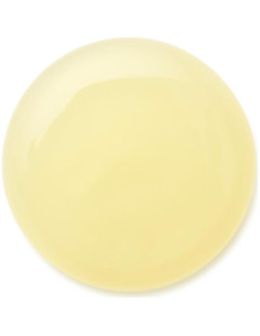 Tratamiento para Cuero Cabelludo Graso Moroccanoil 45ml 2