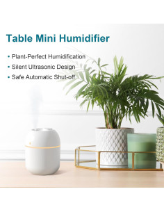 Humidificador portátil KOSGHO Jiashiqi 220ml blanco silencioso 2