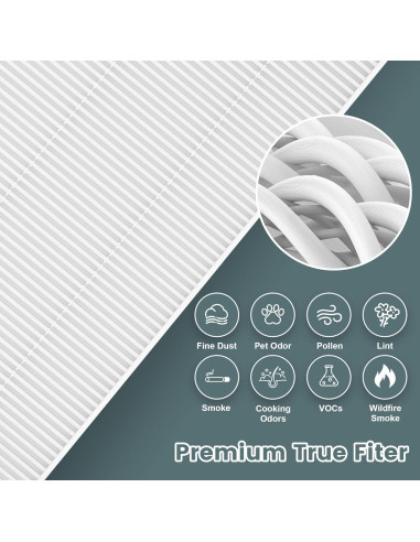 Reemplazo Filtro HEPA HPA300 Honeywell 6 Filtros R + 8 Prefiltros A