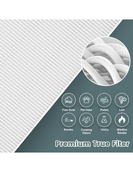 Reemplazo Filtro HEPA HPA300 Honeywell 6 Filtros R + 8 Prefiltros A