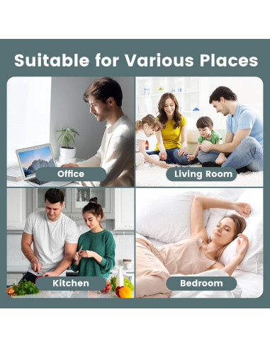 Reemplazo Filtro HEPA HPA300 Honeywell 6 Filtros R + 8 Prefiltros A