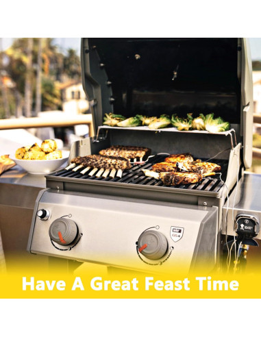 Kit de Reemplazo para Parrilla Weber Spirit 200 - Hipoilk