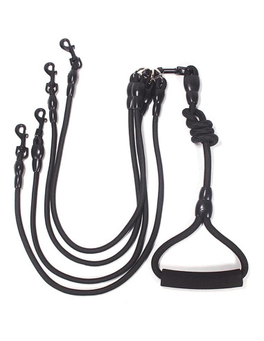 Acoplador para Paseo Petyoung 4 Vías Cuerda Nylon Resistente