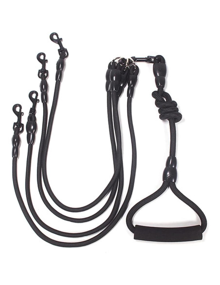 Acoplador para Paseo Petyoung 4 Vías Cuerda Nylon Resistente