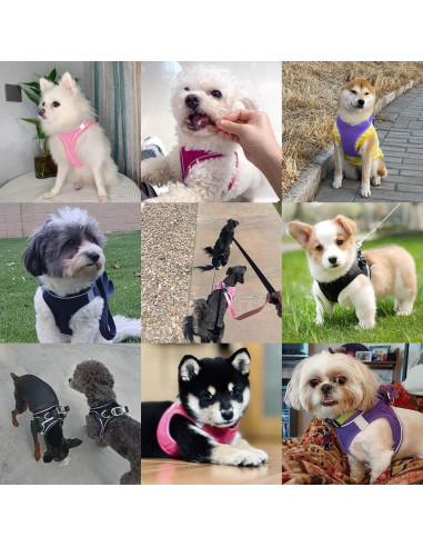 Arnés para Perro PWOD XL Azul Oscuro Acolchado y Reflectante