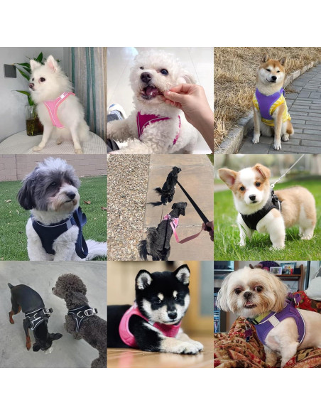 Arnés para Perro PWOD XL Azul Oscuro Acolchado y Reflectante