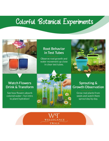 Kit de Crecimiento de Plantas STEM Xinxiang 19 Experimentos 8+ Años
