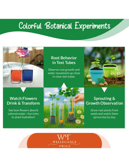 Kit de Crecimiento de Plantas STEM Xinxiang 19 Experimentos 8+ Años