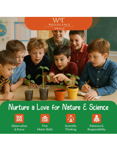 Kit de Crecimiento de Plantas STEM Xinxiang 19 Experimentos 8+ Años