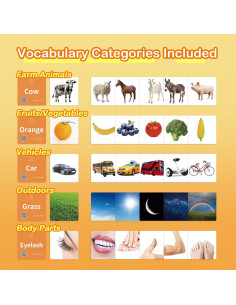 80 Tarjetas de Flash de Sustantivos ALSOLIFE para Niños 2-4 Años 2
