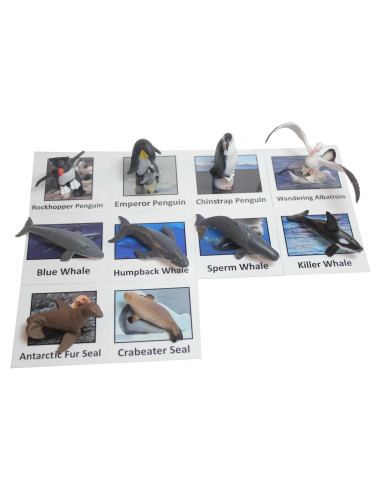 Juego Montessori Emparejamiento Animales Antárticos - 10 Figuras
