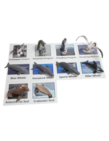 Juego Montessori Emparejamiento Animales Antárticos - 10 Figuras Juego Montessori Emparejamiento Animales Antárticos - 10 Figuras