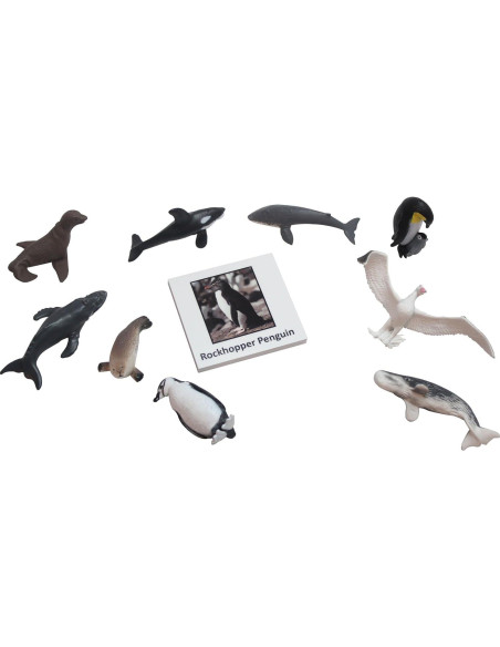 Juego Montessori Emparejamiento Animales Antárticos - 10 Figuras Juego Montessori Emparejamiento Animales Antárticos - 10 Figuras