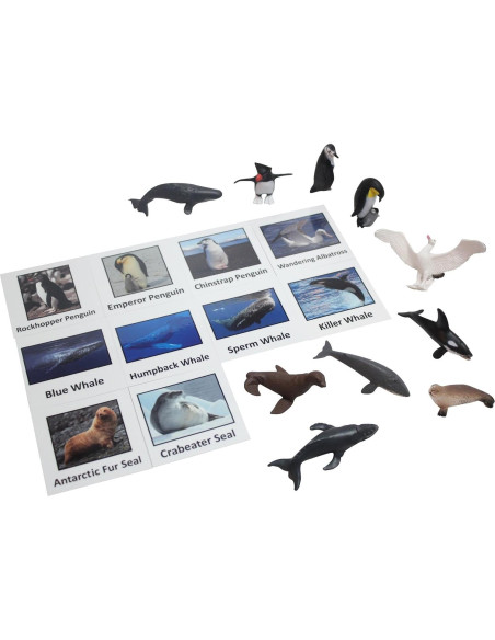 Juego Montessori Emparejamiento Animales Antárticos - 10 Figuras Juego Montessori Emparejamiento Animales Antárticos - 10 Figuras