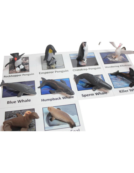 Juego Montessori Emparejamiento Animales Antárticos - 10 Figuras Juego Montessori Emparejamiento Animales Antárticos - 10 Figuras