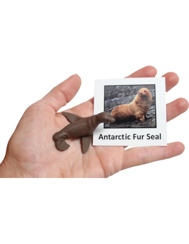 Juego Montessori Emparejamiento Animales Antárticos - 10 Figuras