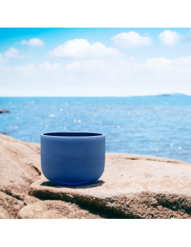 Cuenco de Canto de Cristal TOPFUND 20 cm Índigo 440 Hz con Funda