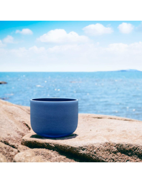 Cuenco de Canto de Cristal TOPFUND 20 cm Índigo 440 Hz con Funda