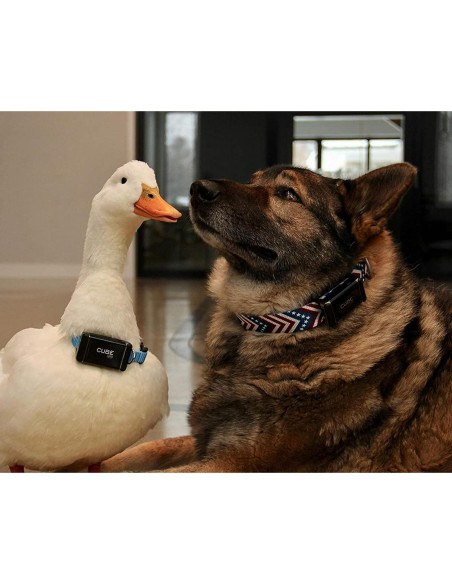 Clips de Sujeción GPS Cube para Mascotas y Mochilas - 3 Tamaños Clips de Sujeción GPS Cube para Mascotas y Mochilas - 3 Tamaños