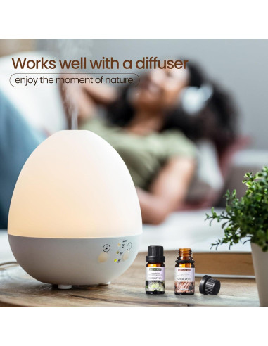 Conjunto de 26 Aceites Esenciales 10ml Nuanchu para Difusor