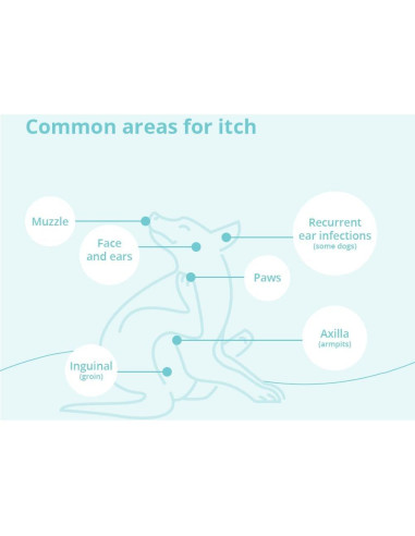Champú DermaBenS para Perros, Gatos y Caballos 340g