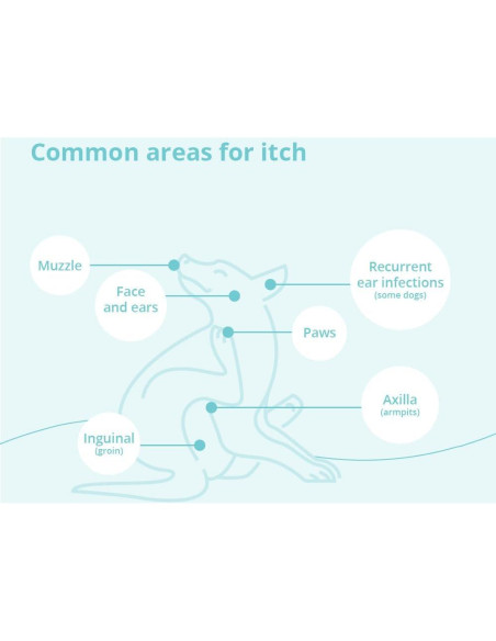 Champú DermaBenS para Perros, Gatos y Caballos 340g