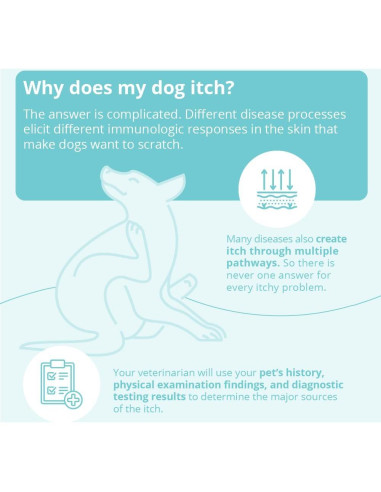 Champú DermaBenS para Perros, Gatos y Caballos 340g