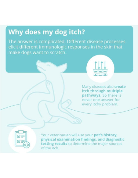 Champú DermaBenS para Perros, Gatos y Caballos 340g