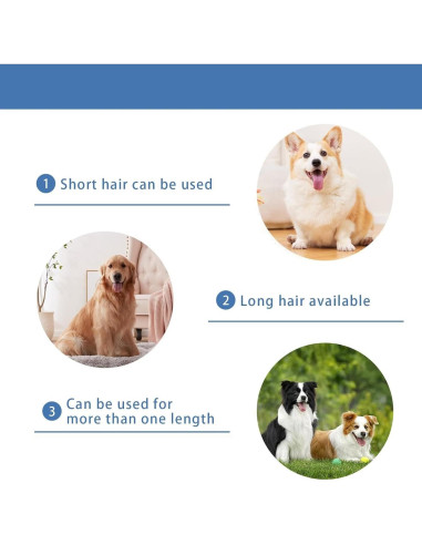 Cuchilla de Reemplazo nebot P1 Pro - Cerámica y Acero Inoxidable 0.5mm