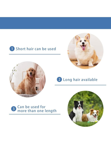 Cuchilla de Reemplazo nebot P1 Pro - Cerámica y Acero Inoxidable 0.5mm