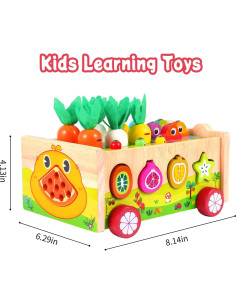 Juguetes Montessori de Madera para Niños 1-4 Años - Actividades 2