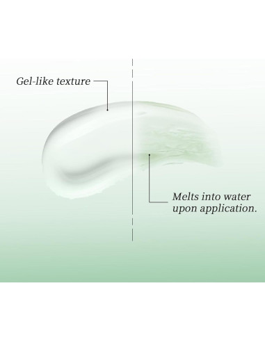 Gel Voluminizador Champú Seco Spes 80ml Control Aceite 24h