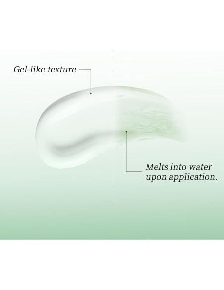 Gel Voluminizador Champú Seco Spes 80ml Control Aceite 24h