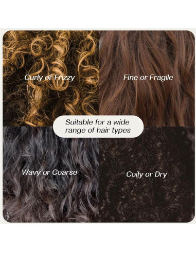 Gel Voluminizador Champú Seco Spes 80ml Control Aceite 24h