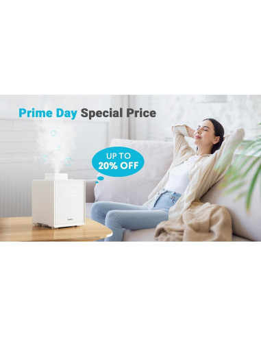 Humidificador de Niebla Cálida Livatro 3L Acero Inoxidable