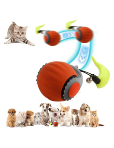 Bola Interactiva para Gatos Hanipuppy Cola Rápida 3.0