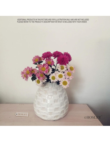 Conjunto de 2 Jarrones de Cerámica Blanca Hosley 14.6 cm