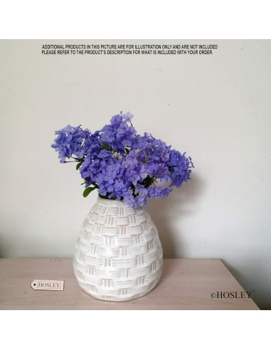 Conjunto de 2 Jarrones de Cerámica Blanca Hosley 14.6 cm