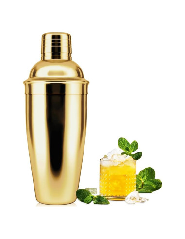 Shaker de cóctel NewGF 739 ml con colador y tapa medidora