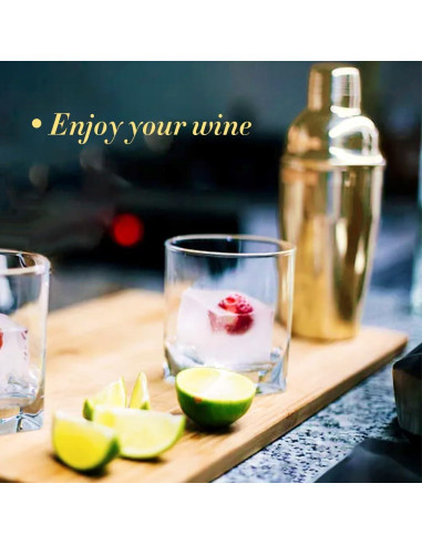 Shaker de cóctel NewGF 739 ml con colador y tapa medidora