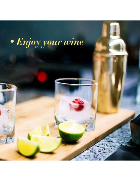 Shaker de cóctel NewGF 739 ml con colador y tapa medidora