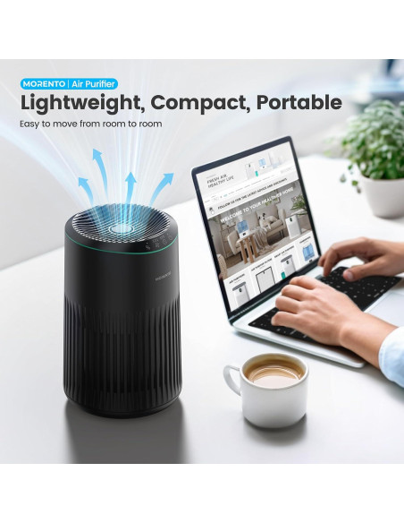 Purificador de Aire MERONTE MR2566 para Humo y Olores - 1.35 kg