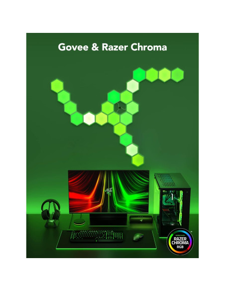Paneles de Luz Hexagonales Govee Glide RGBIC - 10 Piezas