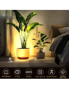 Paquete de 2 Focos LED Recargables Guankaidianzishangwu RGB 2