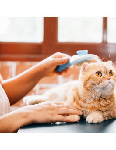Cepillo Slicker Autolimpiante para Gatos y Perros Pequeños - Home&Love